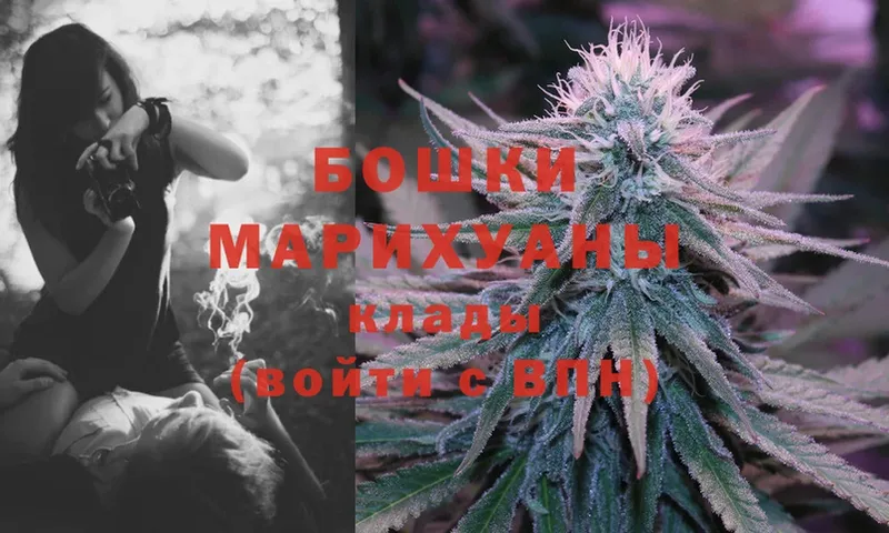 Бошки марихуана THC 21%  Заречный 